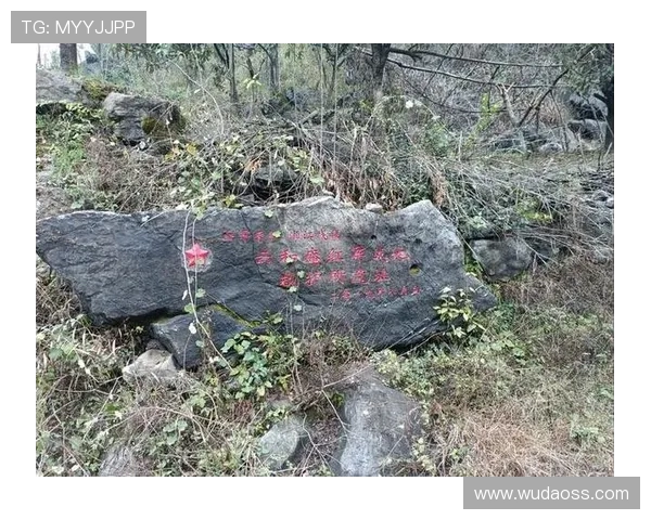 广州排球队的崛起与发展探索展现排球运动的无限魅力与力量