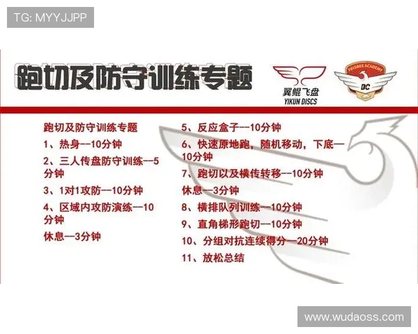 深入分析西安飞盘队的区域防守策略与战术执行细节