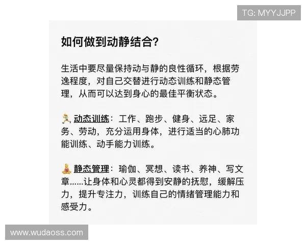 全面塑造强健体魄探索科学健身方法与身心平衡之道