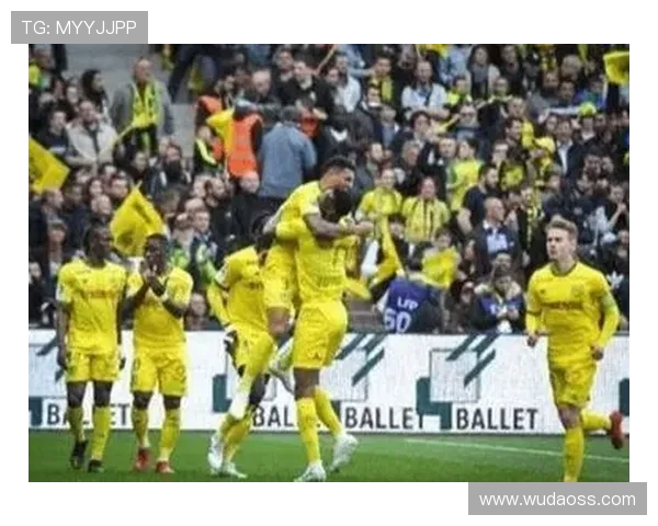 南特与里昂对决前瞻及比分预测分析,谁能赢得胜利 南特与里昂对决前瞻及比分预测分析,谁能赢得胜利